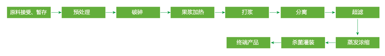 藍(lán)莓、草莓、桑葚濃縮汁